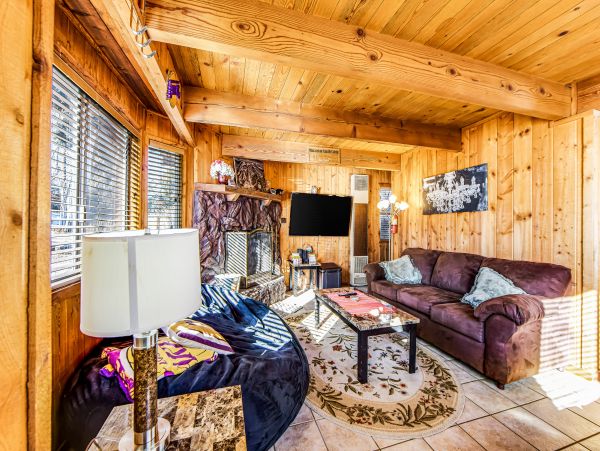 Big Bear Home 1022923