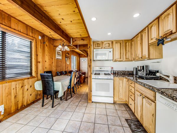 Big Bear Home 1022923