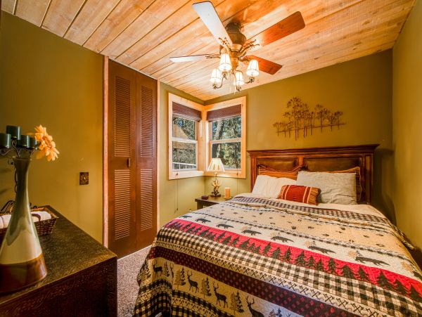 Big Bear Home 1022924