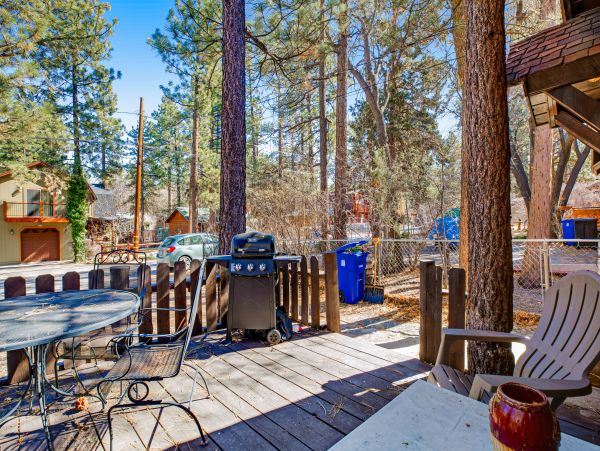 Big Bear Home 1022924