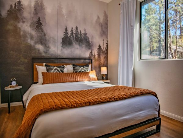 Big Bear Home 1022927