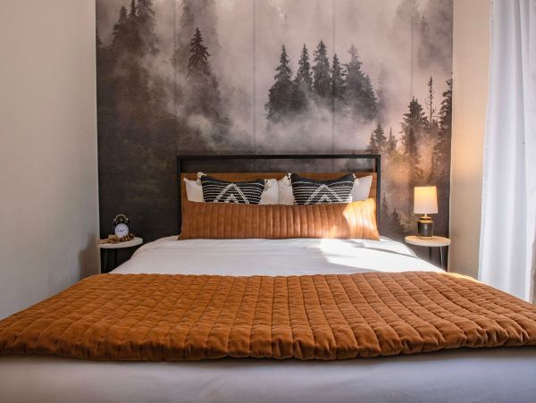 Big Bear Home 1022927