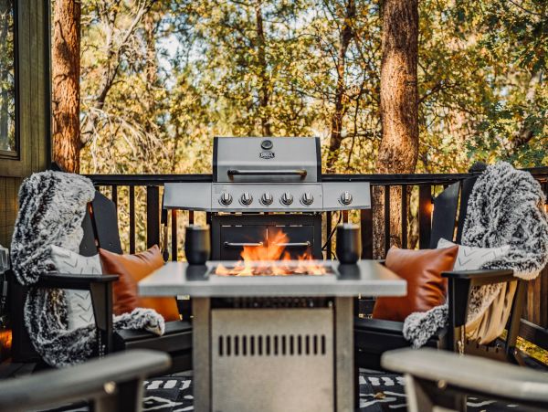 Big Bear Home 1022927