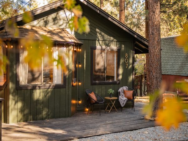 Big Bear Home 1022927