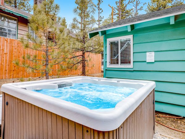 Big Bear Home 1022928