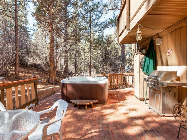Big Bear Home 1022932