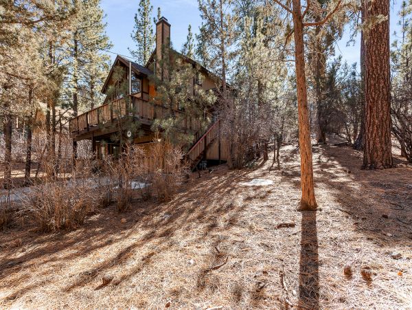 Big Bear Home 1022932