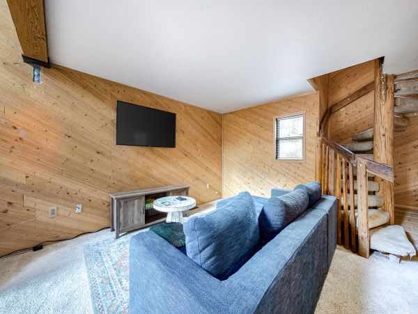 Big Bear Home 1022933