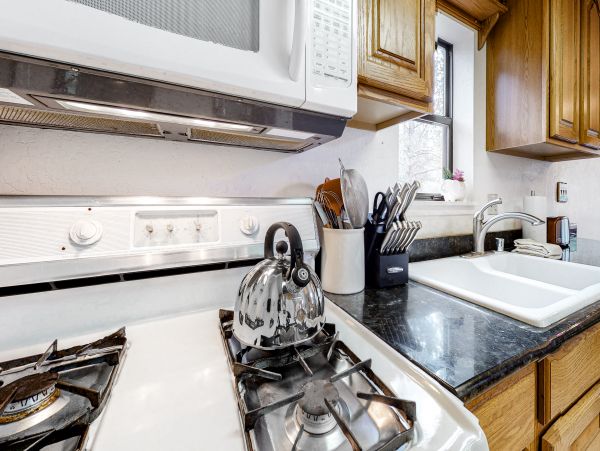 Big Bear Home 1022933