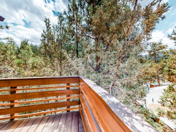 Big Bear Home 1022933