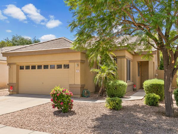 Mesa Home 1022944