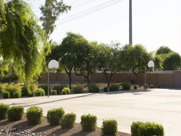 Mesa Home 1022948