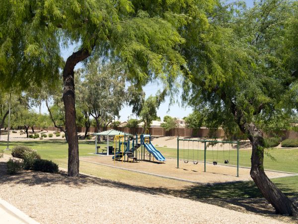 Mesa Home 1022948