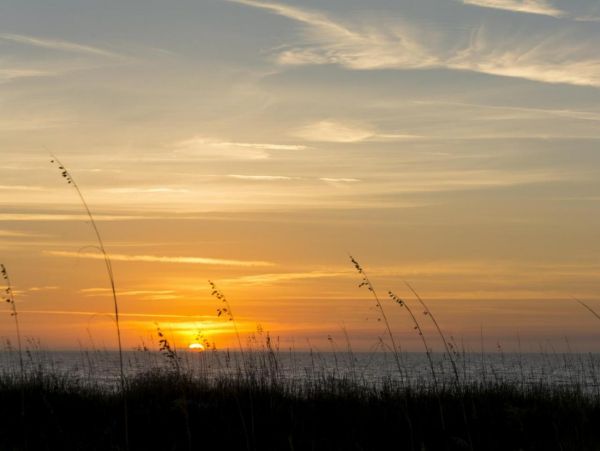 Hilton Head 2 Bedroom Condo Sleeps 6 Stroll Beach