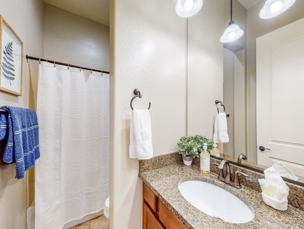 Mesa Home 1022958