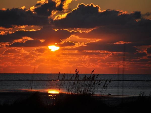 Hilton Head Four Bedroom Townhome Community Amenities