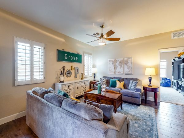 Mesa Home 1022968