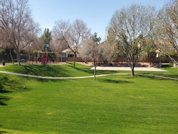 Mesa Home 1022976