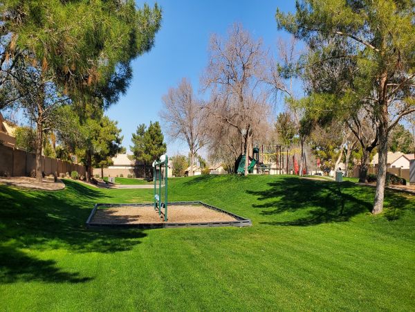 Mesa Home 1022976