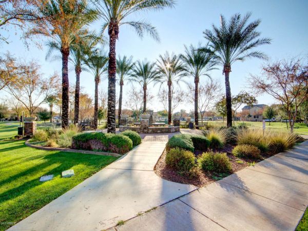 Mesa Home 1022979