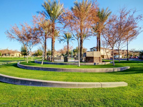 Mesa Home 1022979