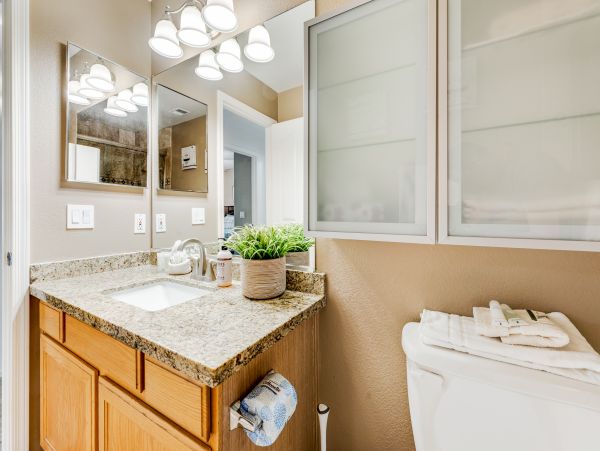 Mesa Home 1022982