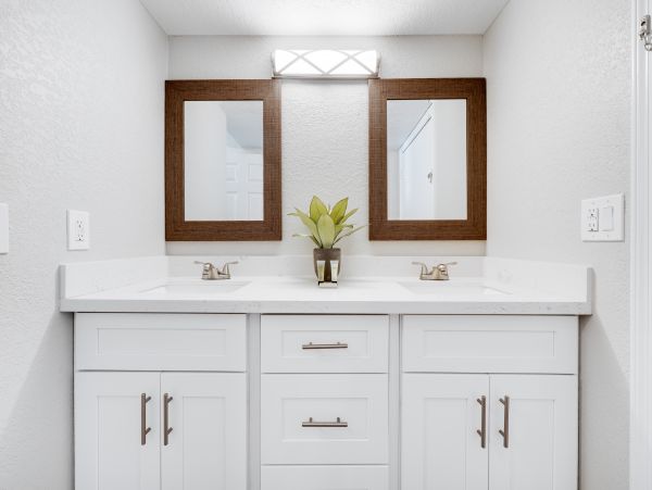 Mesa Home 1022985