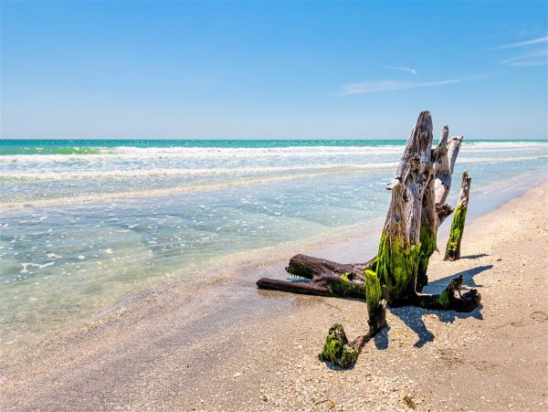 Bay Views Sanibel Vacation Condo Three Bedrooms