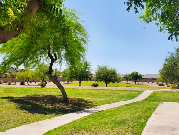 Mesa Home 1022988