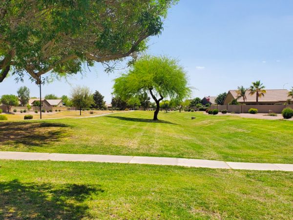 Mesa Home 1022988