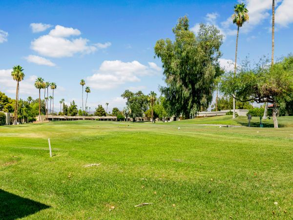 Mesa Home 1022989