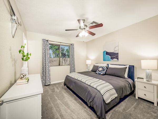 Mesa Home 1022990