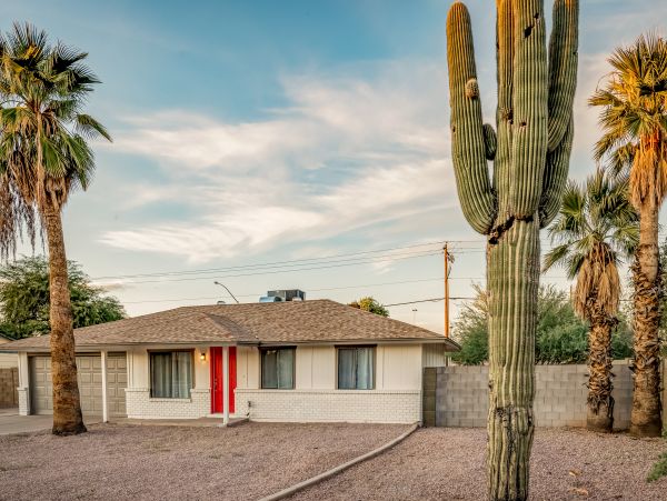 Mesa Home 1022990