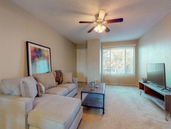 Mesa Home 1022993