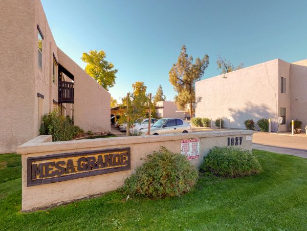 Mesa Home 1022993