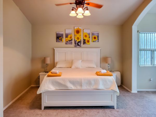 Mesa Home 1023004