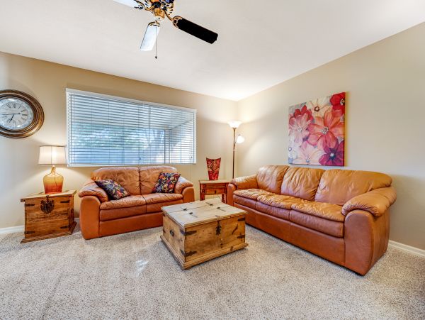 Mesa Home 1023006