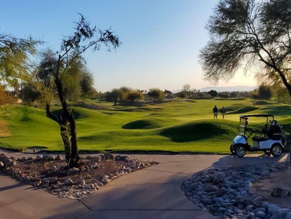 Mesa Home 1023008