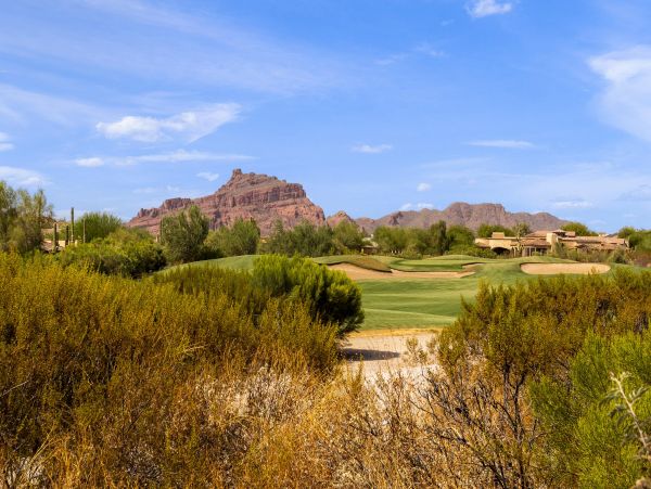 Mesa Home 1023010