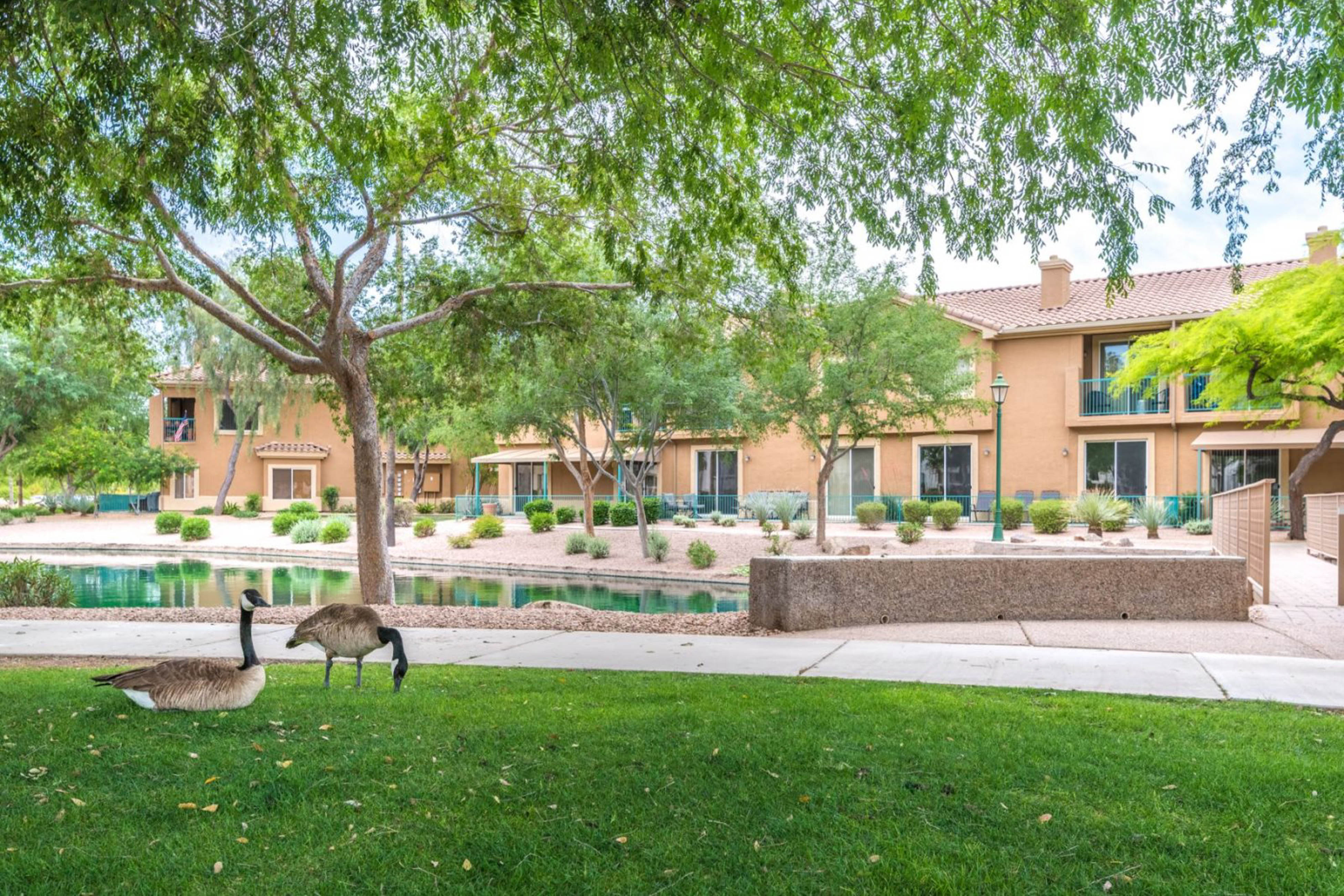 Mesa Home 1023012