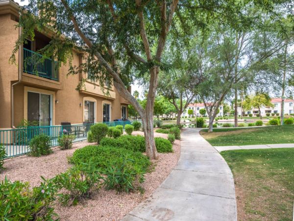 Mesa Home 1023012