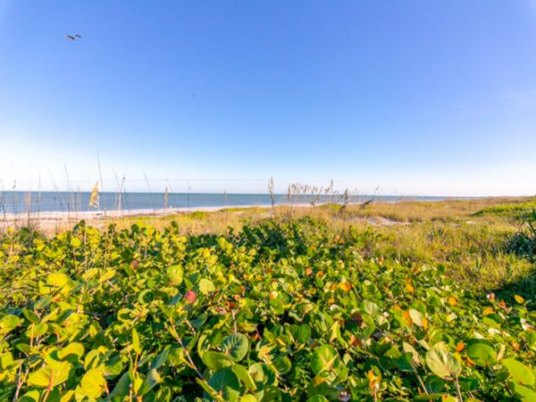 Cocoa Beach Home 1023041