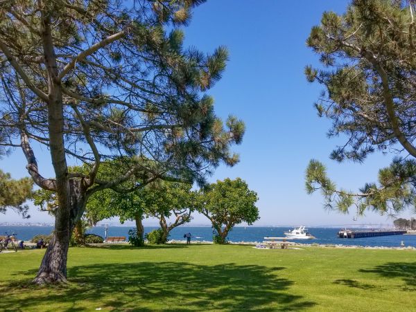 Coronado Home 1023043