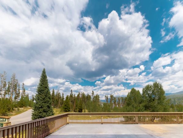 Winter Park Home 1023282