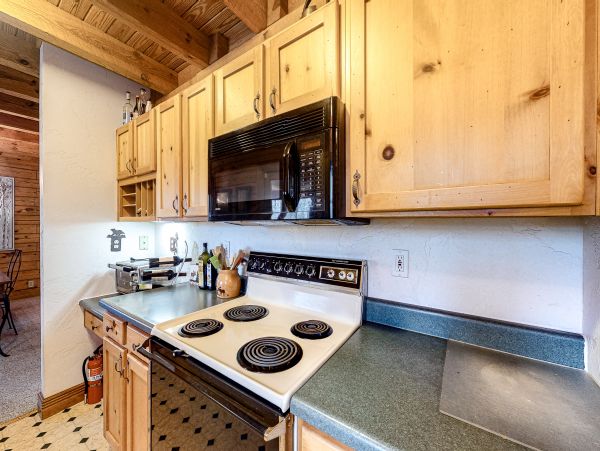 Winter Park Home 1023328