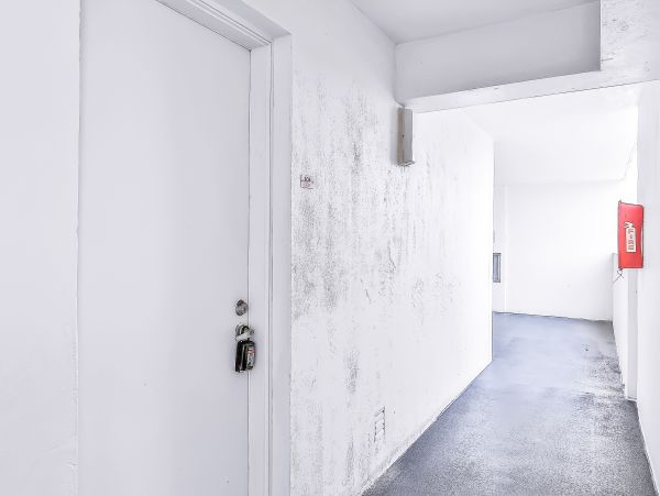 Daytona Beach Condo 1023460