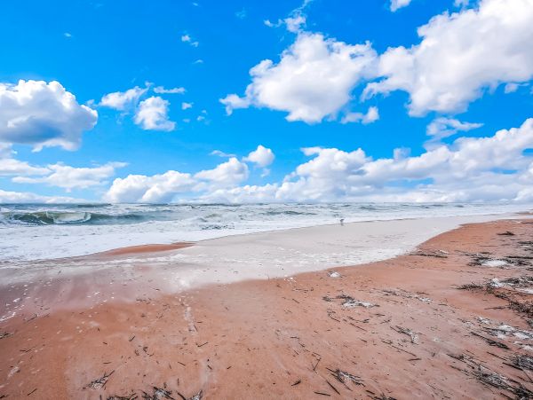 Daytona Beach Condo 1023460