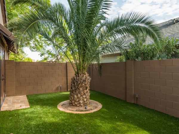 Scottsdale Home 1023487