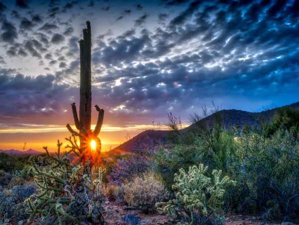 Scottsdale Home 1023489