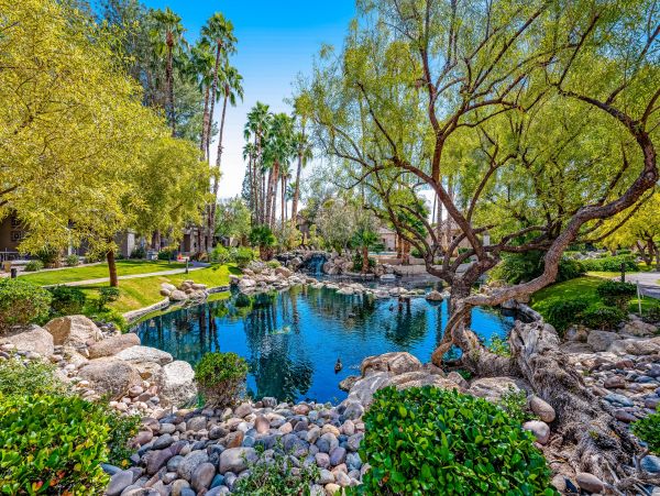 Scottsdale Home 1023518